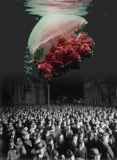 460>_681388